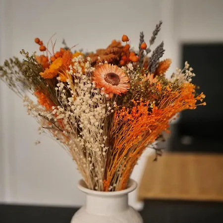 Moderne Futuroscope - Clim & Grande Douche Apartament Chasseneuil-du-Poitou